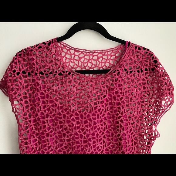 Adam Lippes Pink Net Dress - Picture 4 of 5